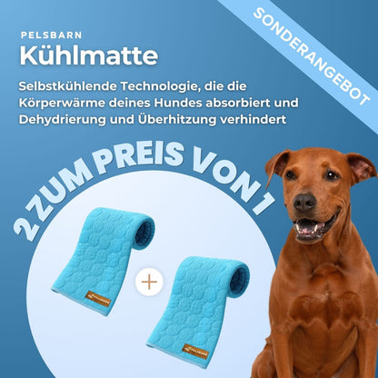 The Cooling Pet Bed That Helps Dogs Stay Comfortable All Summer