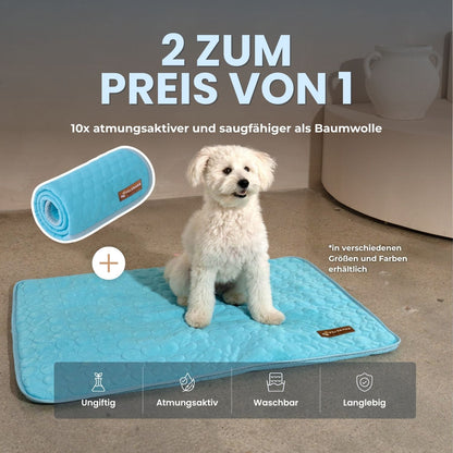 The Cooling Pet Bed That Helps Dogs Stay Comfortable All Summer