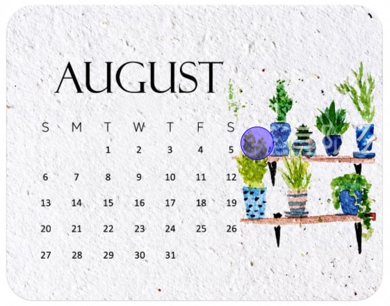 🌱 2027 Plantable Seed Paper Calendar — Use It, Then Grow It (OFFER)