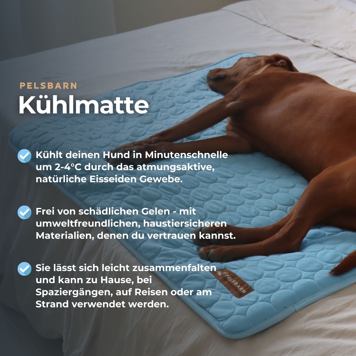The Cooling Pet Bed That Helps Dogs Stay Comfortable All Summer