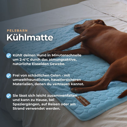 The Cooling Pet Bed That Helps Dogs Stay Comfortable All Summer