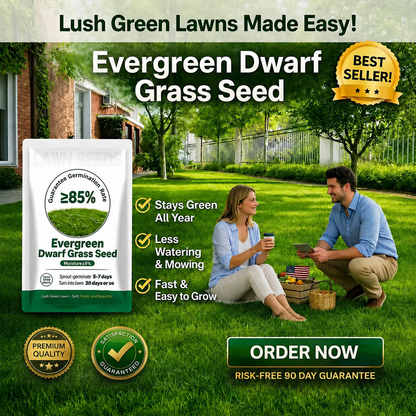 2026 Evergreen Dwarf Grass Seed for Four Seasons| Durable, Vibrant Green All Year (No Mowing Required)