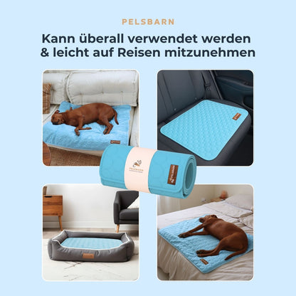 The Cooling Pet Bed That Helps Dogs Stay Comfortable All Summer