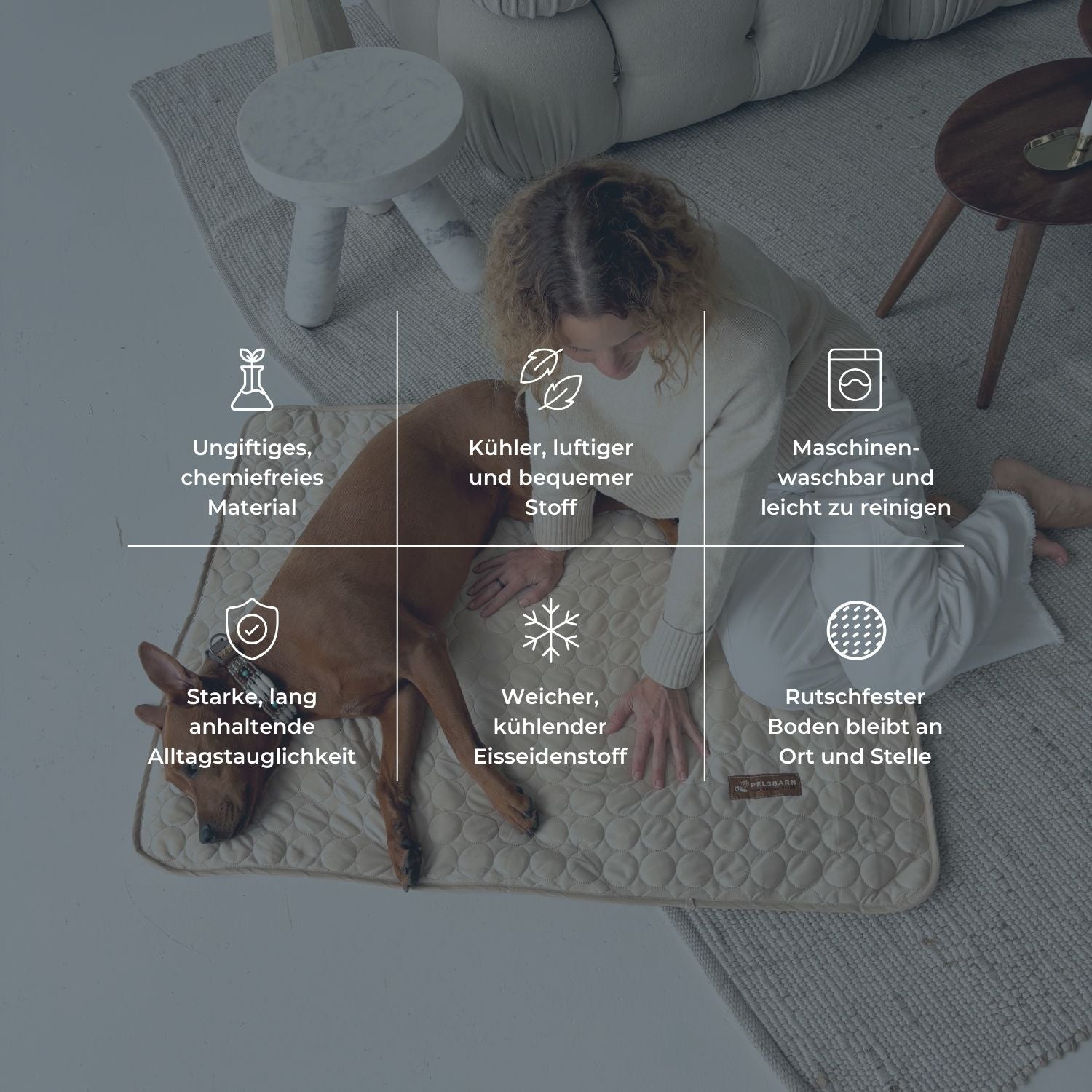 The Cooling Pet Bed That Helps Dogs Stay Comfortable All Summer
