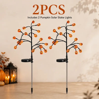 🎃Solar Pumpkin Stake Lights