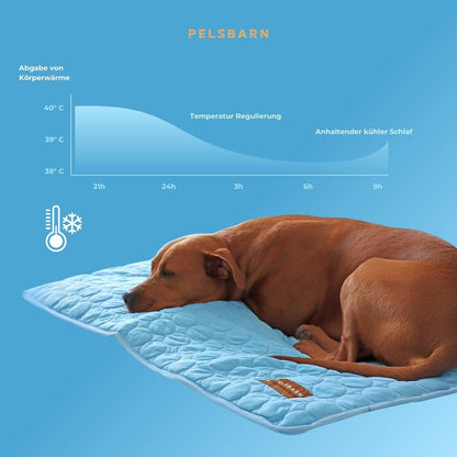 The Cooling Pet Bed That Helps Dogs Stay Comfortable All Summer