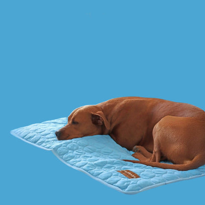 The Cooling Pet Bed That Helps Dogs Stay Comfortable All Summer