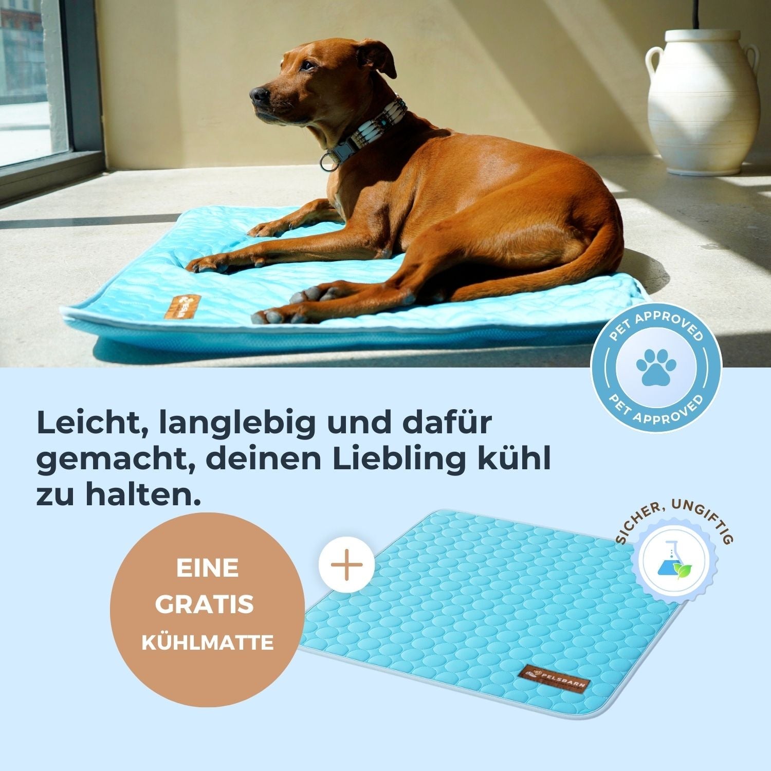 The Cooling Pet Bed That Helps Dogs Stay Comfortable All Summer