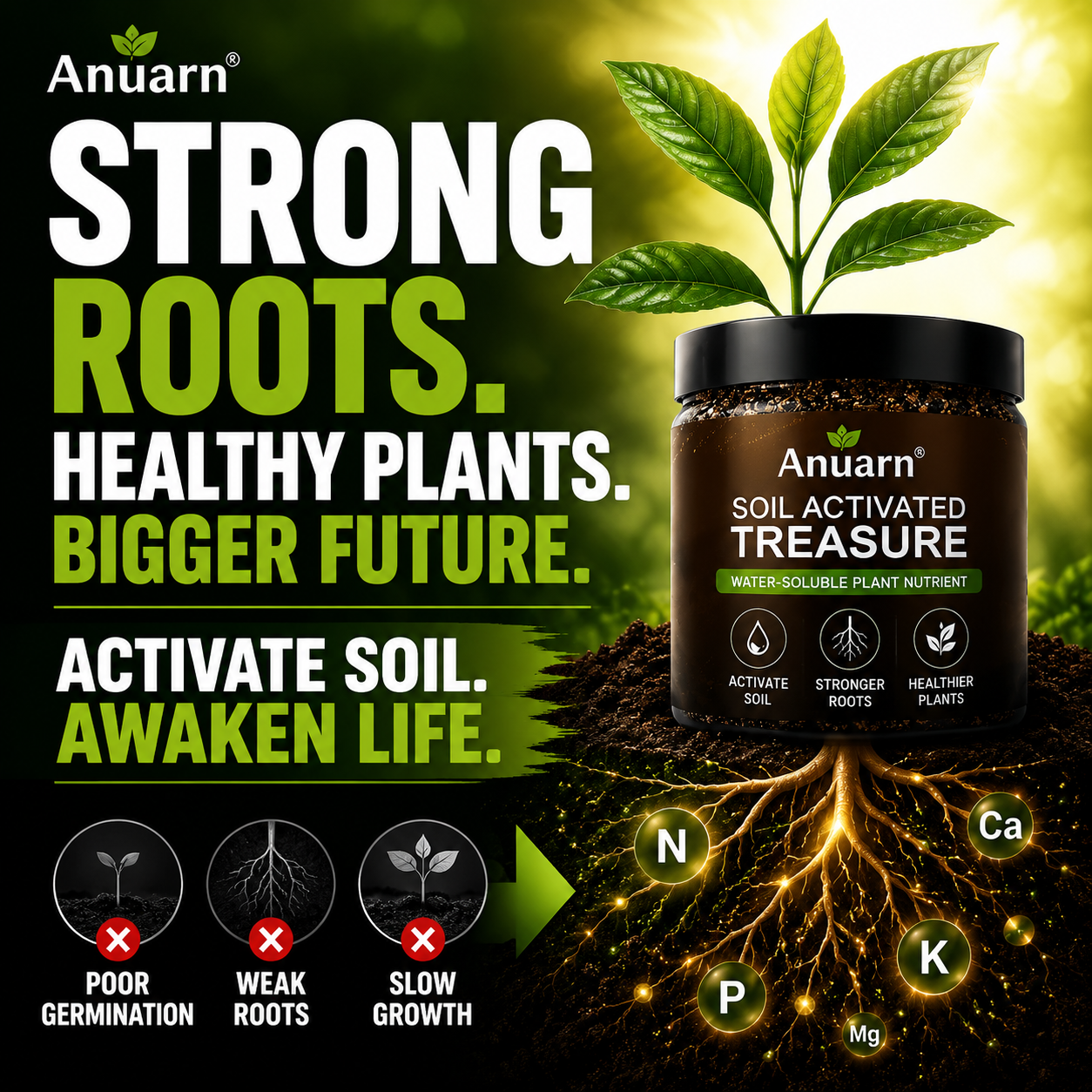 SOIL VITALITY CATALYST