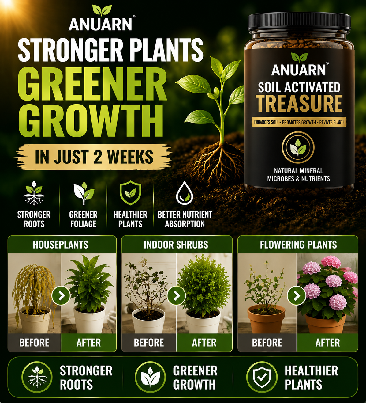 SOIL VITALITY CATALYST