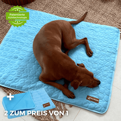 The Cooling Pet Bed That Helps Dogs Stay Comfortable All Summer