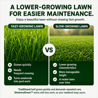 🌱 FONOME WeekendGreen™ Slow-Growing Lawn Seed — Less Mowing, More Weekends