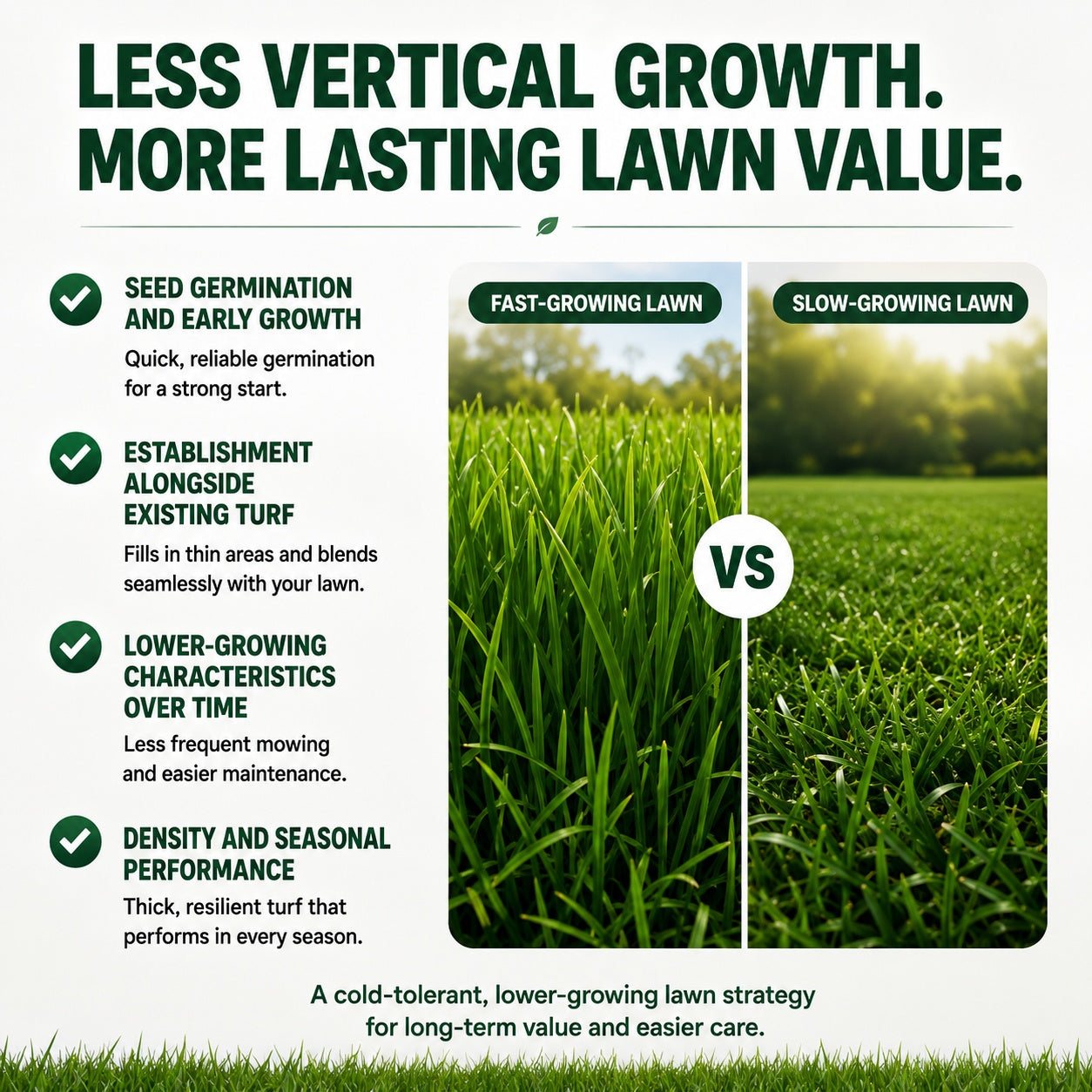 🌱 FONOME WeekendGreen™ Slow-Growing Lawn Seed — Less Mowing, More Weekends