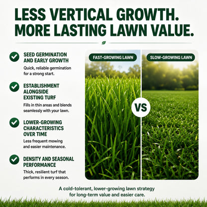 🌱 FONOME WeekendGreen™ Slow-Growing Lawn Seed — Less Mowing, More Weekends