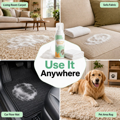 🧽 Waterless Carpet Foam Stain Remover